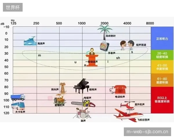 新型亥姆霍兹共振吸音体约束了算法边界，其在125Hz频段的吸收效率提升近30%，有效缓解了大型球赛的氛围沉闷感